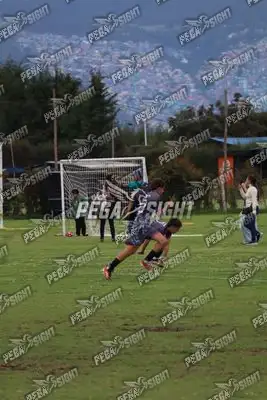 Foto de Búho Academia