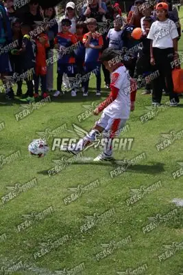 Foto de JUGADORES