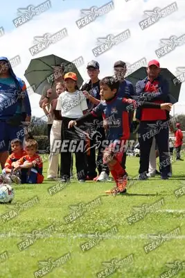 Foto de JUGADORES