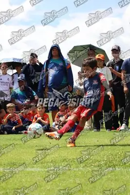 Foto de JUGADORES