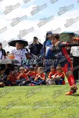 Foto de JUGADORES