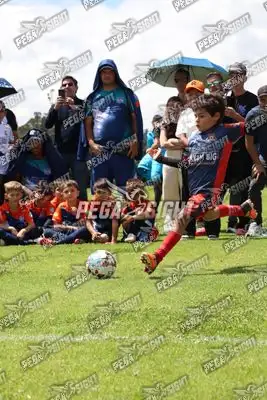Foto de JUGADORES