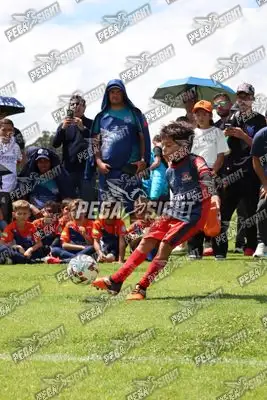 Foto de JUGADORES
