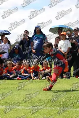 Foto de JUGADORES