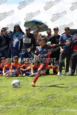 Foto de JUGADORES