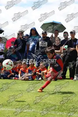 Foto de JUGADORES