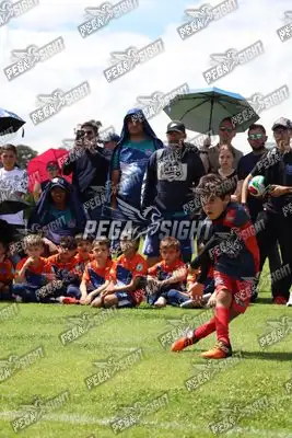 Foto de JUGADORES