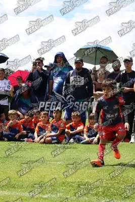 Foto de JUGADORES