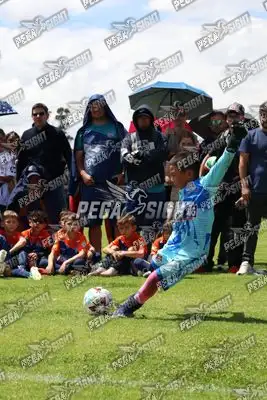Foto de JUGADORES