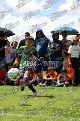 Foto de JUGADORES