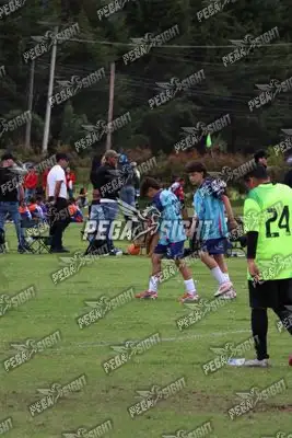 Foto de Búho Academia