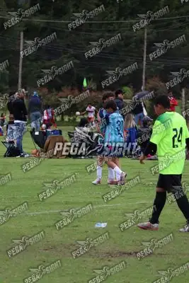 Foto de Búho Academia