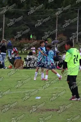 Foto de Búho Academia