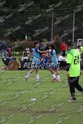Foto de Búho Academia