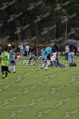 Foto de Búho Academia