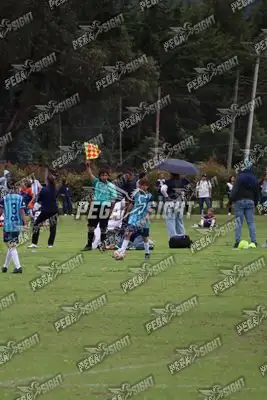 Foto de Búho Academia