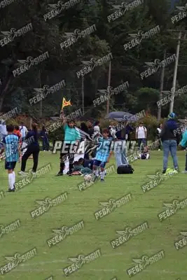 Foto de Búho Academia