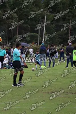 Foto de Búho Academia