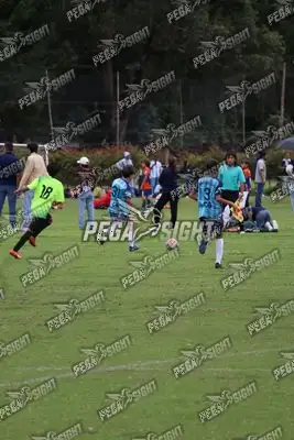 Foto de Búho Academia