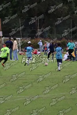 Foto de Búho Academia
