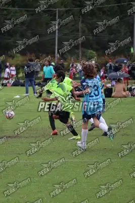 Foto de Búho Academia