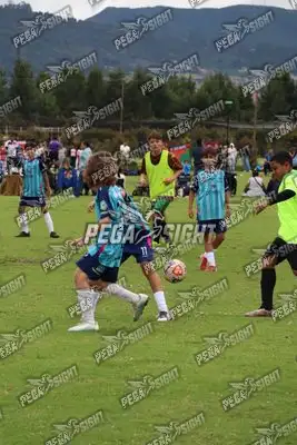 Foto de Búho Academia