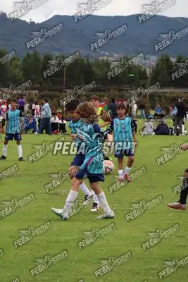 Foto de Búho Academia