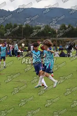 Foto de Búho Academia