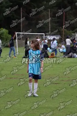 Foto de Búho Academia