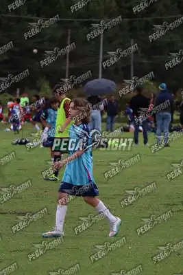 Foto de Búho Academia