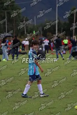 Foto de Búho Academia