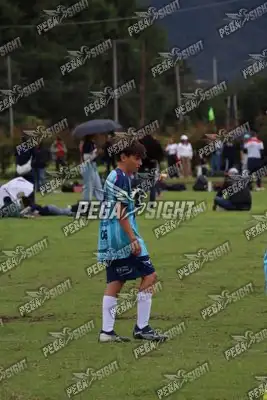 Foto de Búho Academia