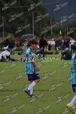 Foto de Búho Academia