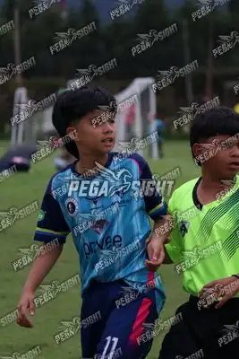 Foto de Búho Academia