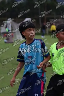 Foto de Búho Academia