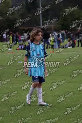 Foto de Búho Academia
