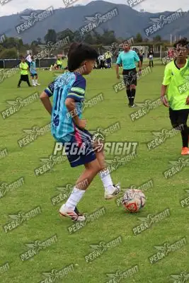 Foto de Búho Academia