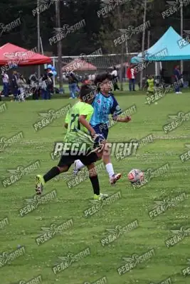 Foto de Búho Academia