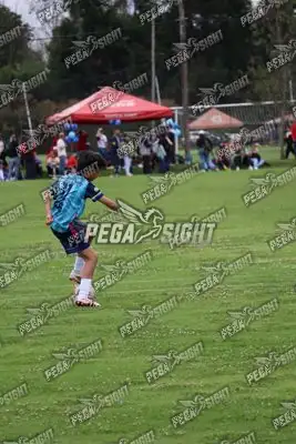 Foto de Búho Academia