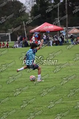 Foto de Búho Academia