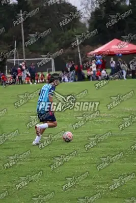 Foto de Búho Academia