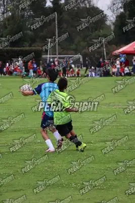 Foto de Búho Academia