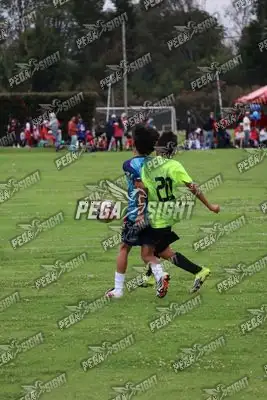 Foto de Búho Academia