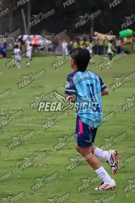 Foto de Búho Academia