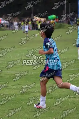 Foto de Búho Academia