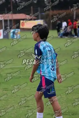 Foto de Búho Academia