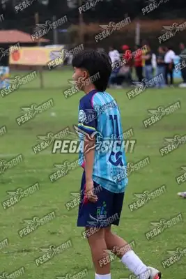Foto de Búho Academia