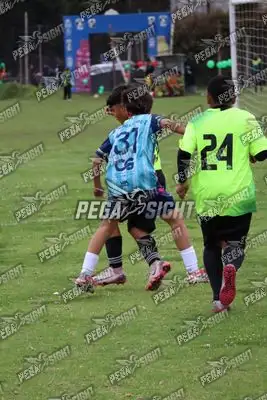 Foto de Búho Academia