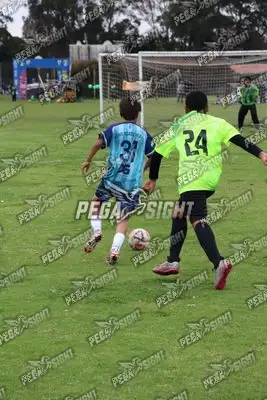 Foto de Búho Academia