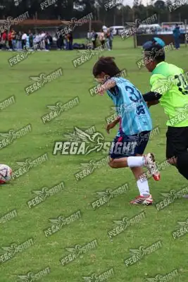 Foto de Búho Academia